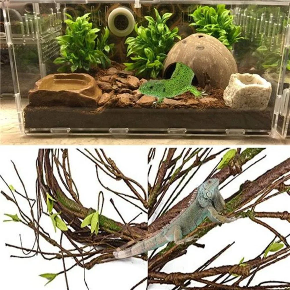 Bearded Dragon Tank Accessories,Lizard Habitat Hammock Reptile Natural Coconut